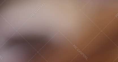 soft delicious and sweet bread with added raisins