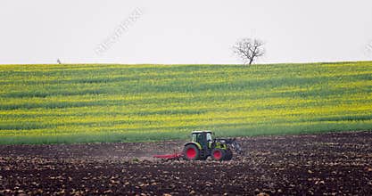 Sustainable farming agriculture, tractor take care of crops in a farming field, cultivating fields
