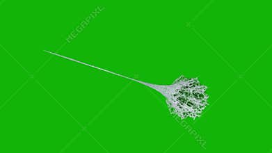 Web top quality animated green screen video 4k