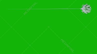 Web top quality animated green screen video 4k