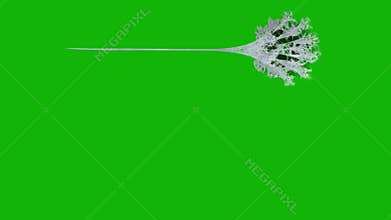 Web top quality animated green screen video 4k