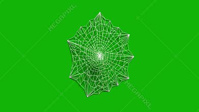 Web top quality animated green screen video 4k