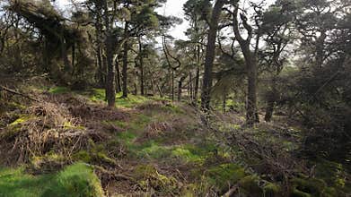 Destination scenics at The Roaches in the Peak District National Park