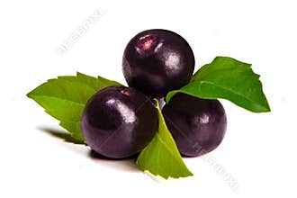 The amazon acai fruit