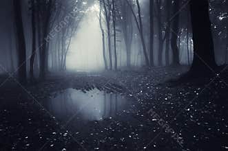 Dark forest with blue fog and lake