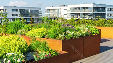 Urban garden on the roof of apartment buildings. Herbs, flowers, and fruit plants grow on raised beds made of weathering steel.