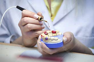 Dental Laboratory
