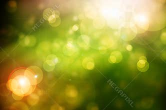 Green abstract blur nature background with sun rays