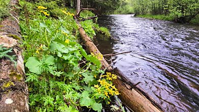 Middle Branch Ontonagon River