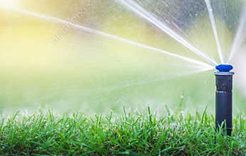 Lawn Sprinkler Watering Green Grass on a Sunny Afternoon