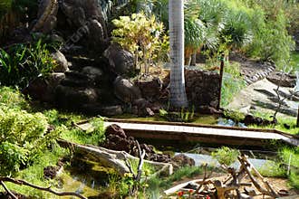 Decorative waterfall near the bridge over the pond and enclosures with crocodiles and other reptiles and amphibians. La Lajita