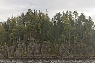 Wall of rocks on the coast of Valaam Island, covered with pine trees