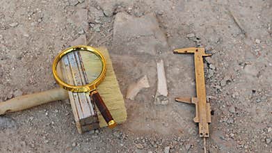 Historical reconstruction of an archaeological expedition of the mid-19th century. An artifact found in the form of