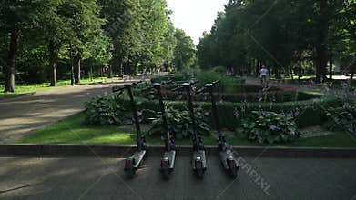 Electric scooters are parked in the park. Day. Summer