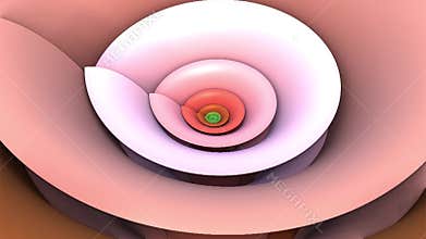 Fractal - Abstraction