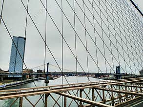 Bridge cables over river city