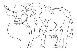 Continuous one line drawing of cow minimalist outline artwork