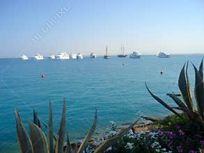 Red Sea seascape