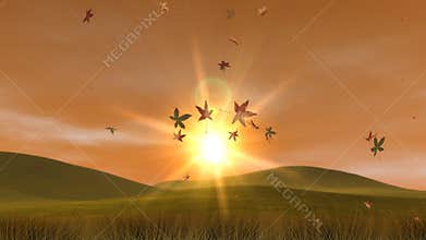 Autumn Hills, Leaves & Sunset (HD Loop)