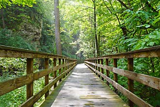 Into The Woods