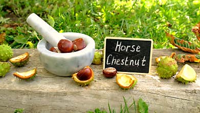 Horse chestnut tincture and supplements. Selective focus.