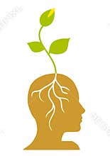 Green Seedling With Roots In Head