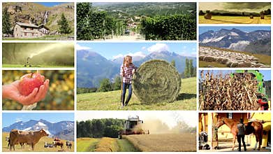 Country life and farming montage