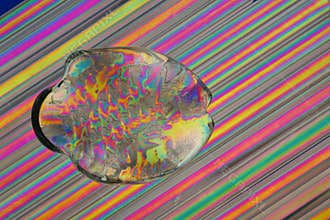 Glass fish on straws