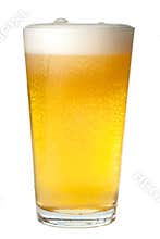 Pint of Beer