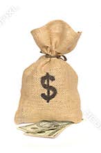 Money Bag