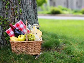 Picnic basket