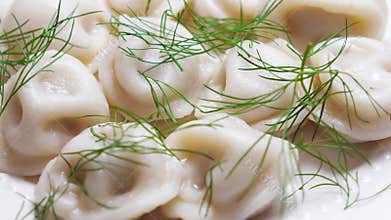 Boiled dumplings with dill are arranged in a circle on a white plate.