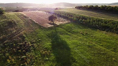 Aerial Drone Flyover of Green Fields, Meadows, and