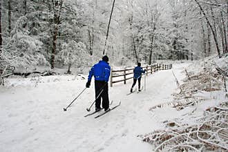 Cross-Country Skiing.