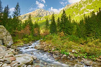 Roztoka Stream. High Tatras, Carpathian Mountains.