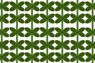 Card form leaf.