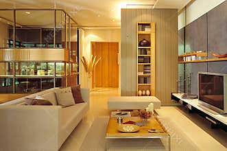 Contemporary Living Room