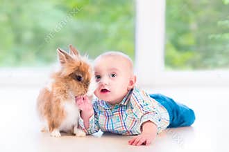 Adorable little baby playing with a funny real bunny