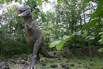 Dinosaurs