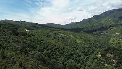 Drone Footage of Dense Mountain Forest in the Andes