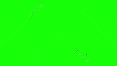 Birds fly across the sky. Green background.