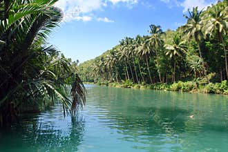 Tropical Jungle River