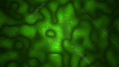 Organic Tissue, cells, virus, bacteria - LOOP