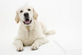 Smile !