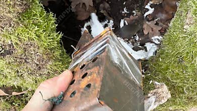 Mice run into the military tent