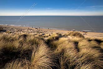 Dunes At The Coast