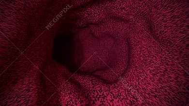 Organic Volumetric Tunnel Seamless Loop
