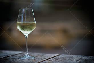 Color image of chilled white wine in a glass , with copy space.