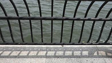River Waters