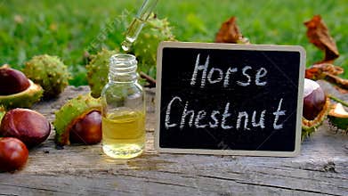 Horse chestnut tincture and supplements. Selective focus.